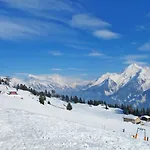 Apartment Rosa-8 By Interhome Mayrhofen